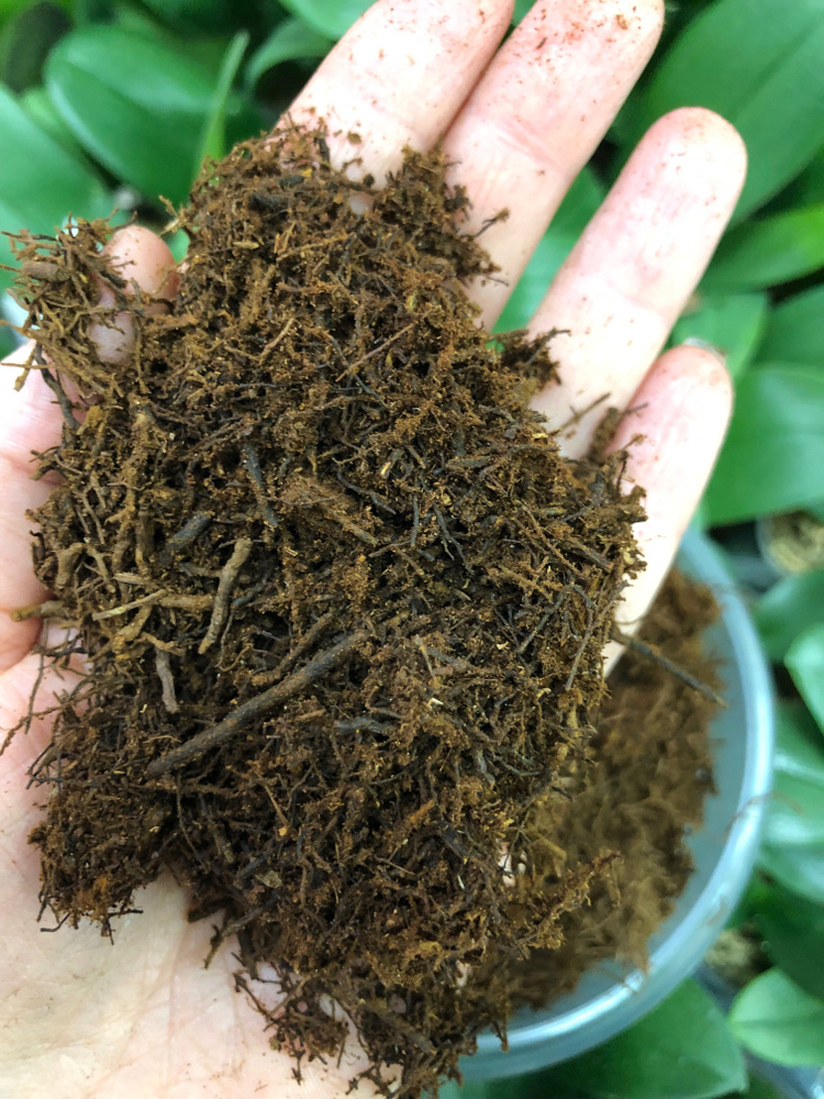 2 литра Корни новозеландского папоротника Tree Fern/ триферн/ грунт для ...