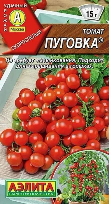 Семена Томат Пуговка (20 семян) - Аэлита - Черри низкорослый, раннеспелый, комнатный, балконный. Отличные #1