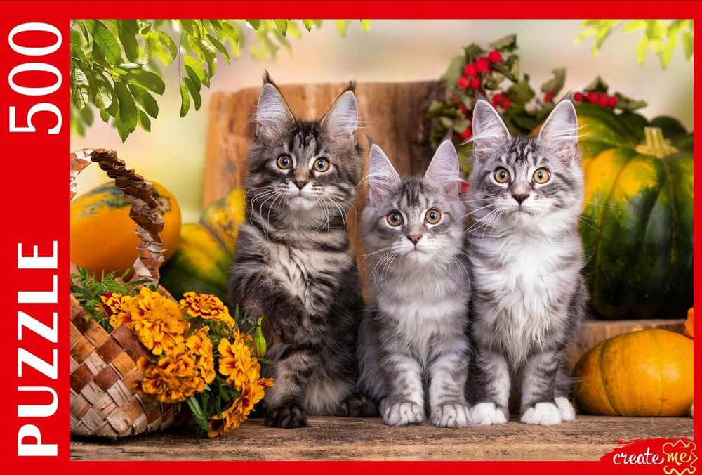 Пазл Рыжий Кот 500 деталей: Три непоседливых котенка #1