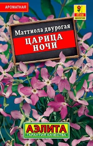 МАТТИОЛА ЦАРИЦА НОЧИ. Семена. Вес 0,5 гр. Восхитительный аромат. Неприхотливый Однолетник.  #1