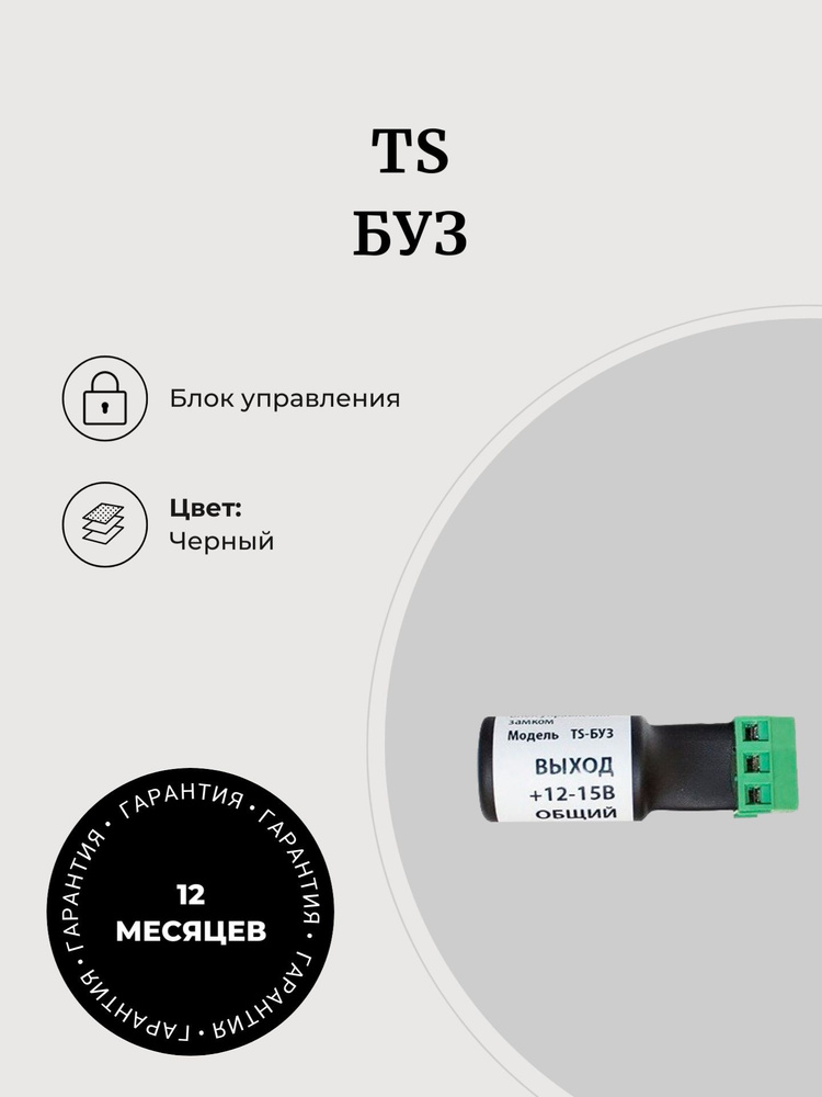 Блок управления электромеханическим замком TS-БУЗ #1