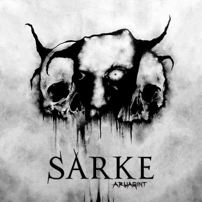 Sarke. Aruagint #1