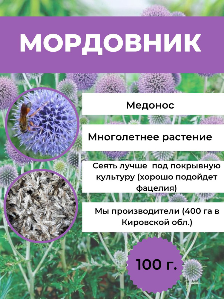 Семена #1