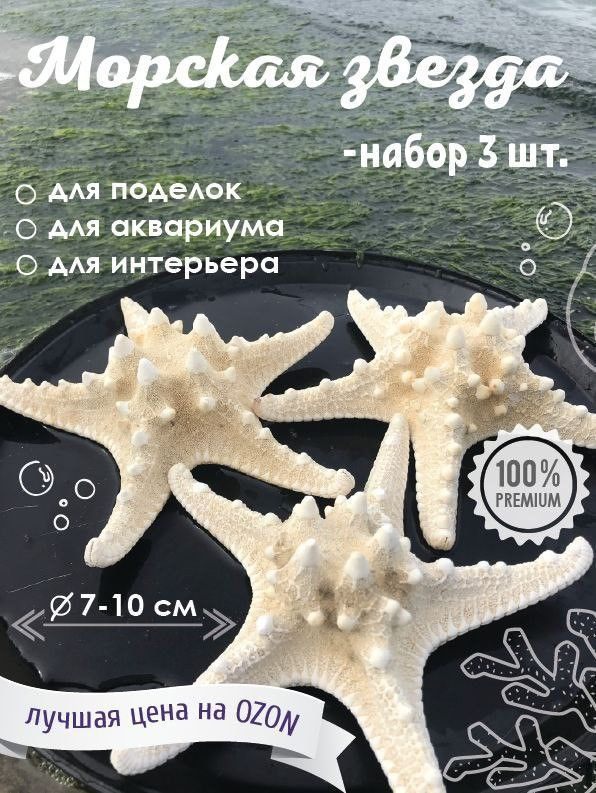 Декоративная Морская звезда