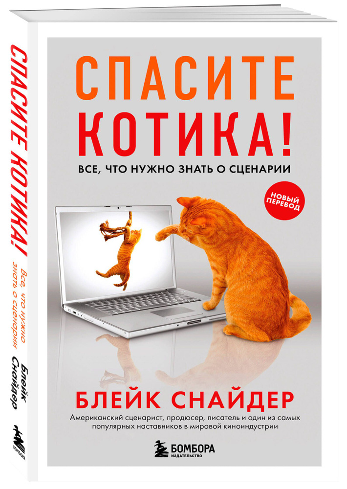 Спасите котика! Все, что нужно знать о сценарии (обновленное издание) | Снайдер Блейк  #1