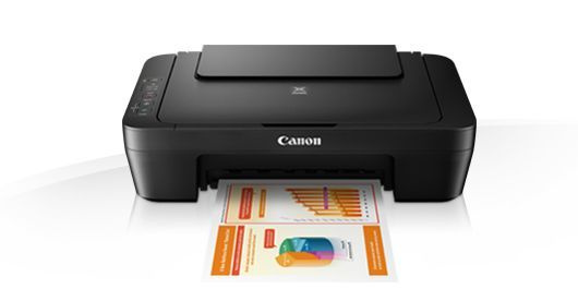 Canon МФУ Струйное Pixma MG2550S, черный #1