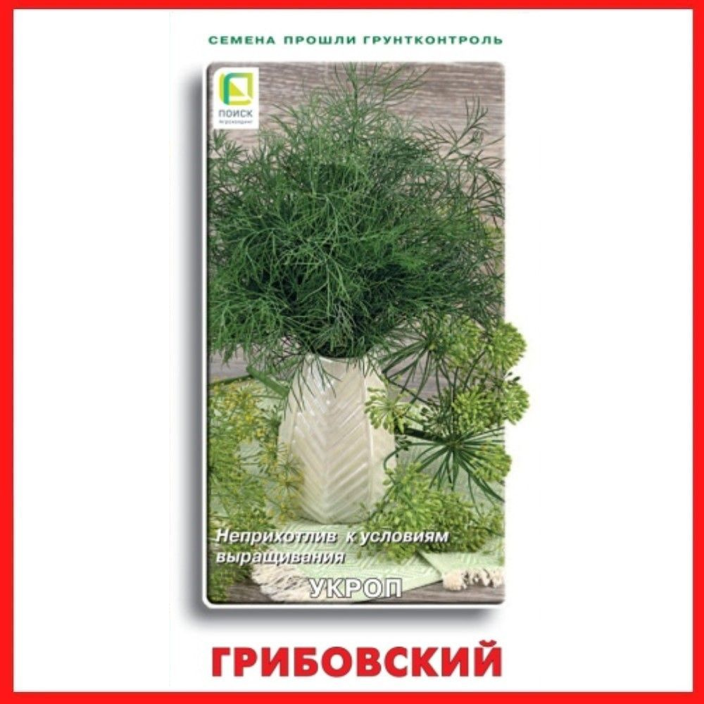 Семена Укроп "Грибовский", 3 гр, пряности и зелень, для дома, дачи и огорода, в открытый грунт, в контейнер. #1