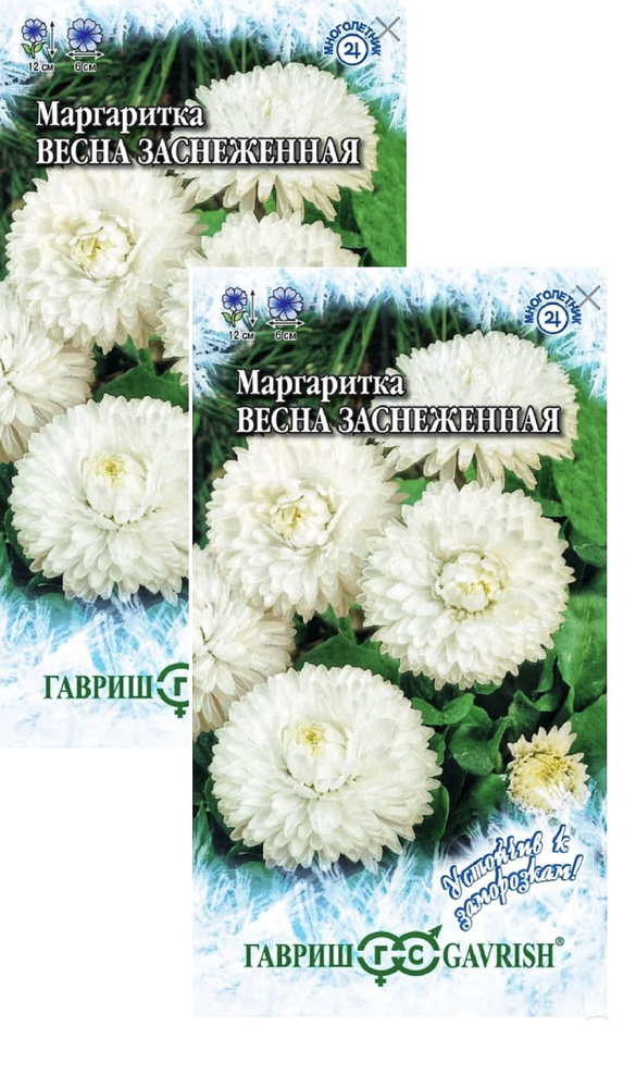 Маргаритка Весна заснеженная, 2 пакета, семена 0,02 гр, Гавриш  #1