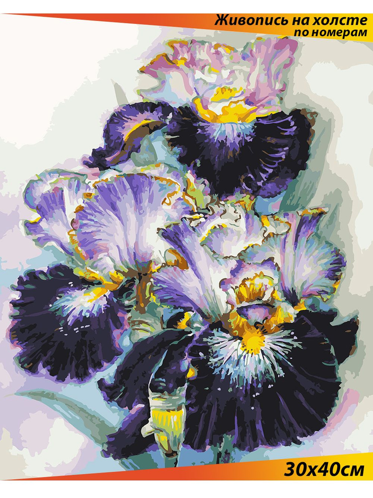 Картины по номерам на холсте с подрамником 30х40 / цветы / "Аметистовый ...