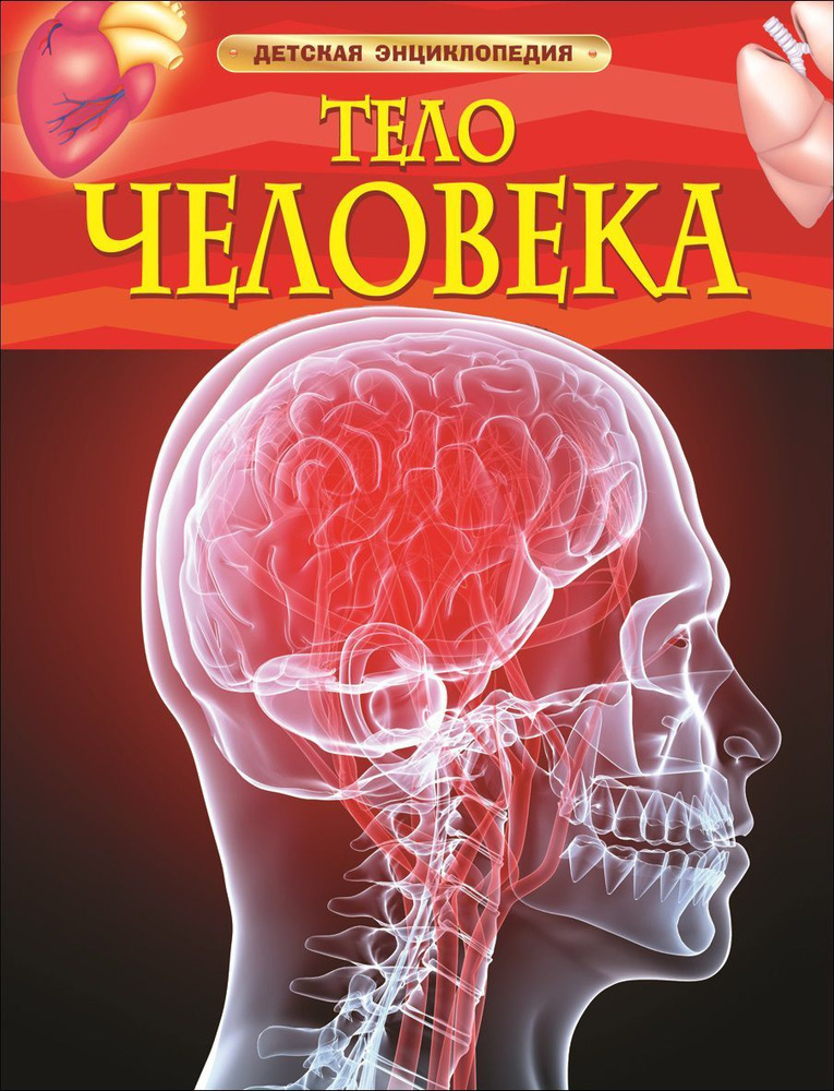 Тело человека #1