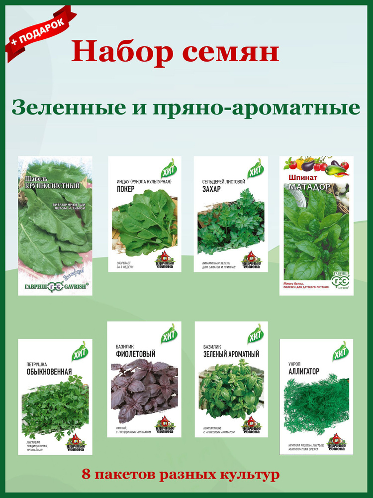 Базилик, Кресс-салат Гавриш зелень - купить по выгодным ценам винтернет-магазине OZON (874857961)