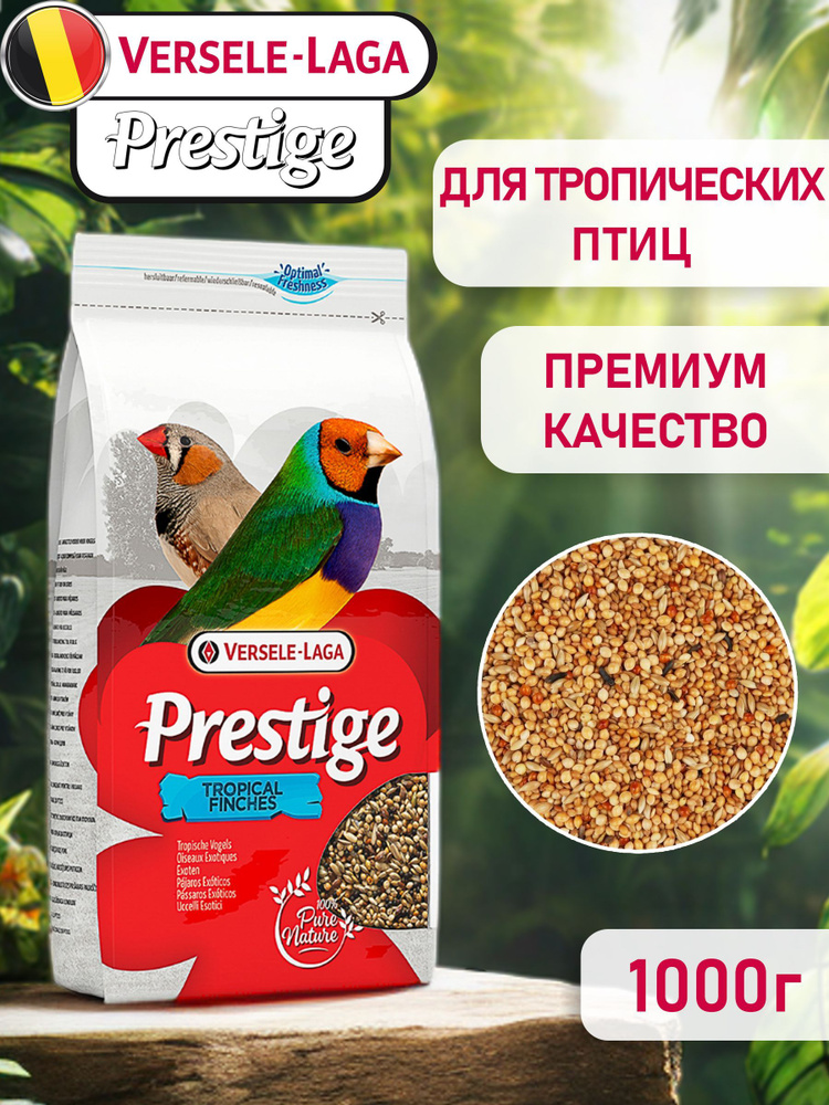 Корм сухой Versele-Laga Tropical Finches Prestige корм для тропических птиц  1кг./ Весреле-Лага 1000г. - купить с доставкой по выгодным ценам в  интернет-магазине OZON (1060610251)