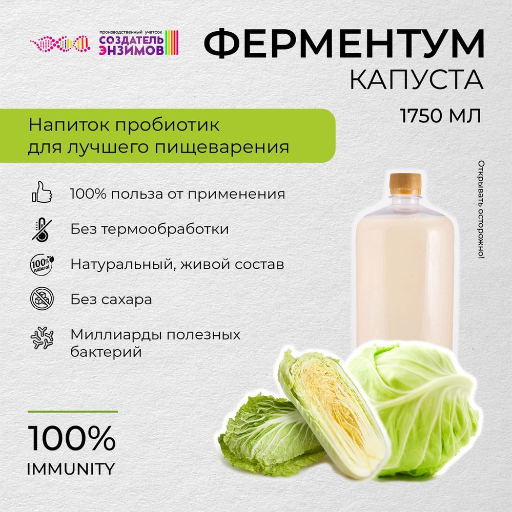 Ферментум Создатель Энзимов Капуста 1,75 л. ПЭТ Квас #1