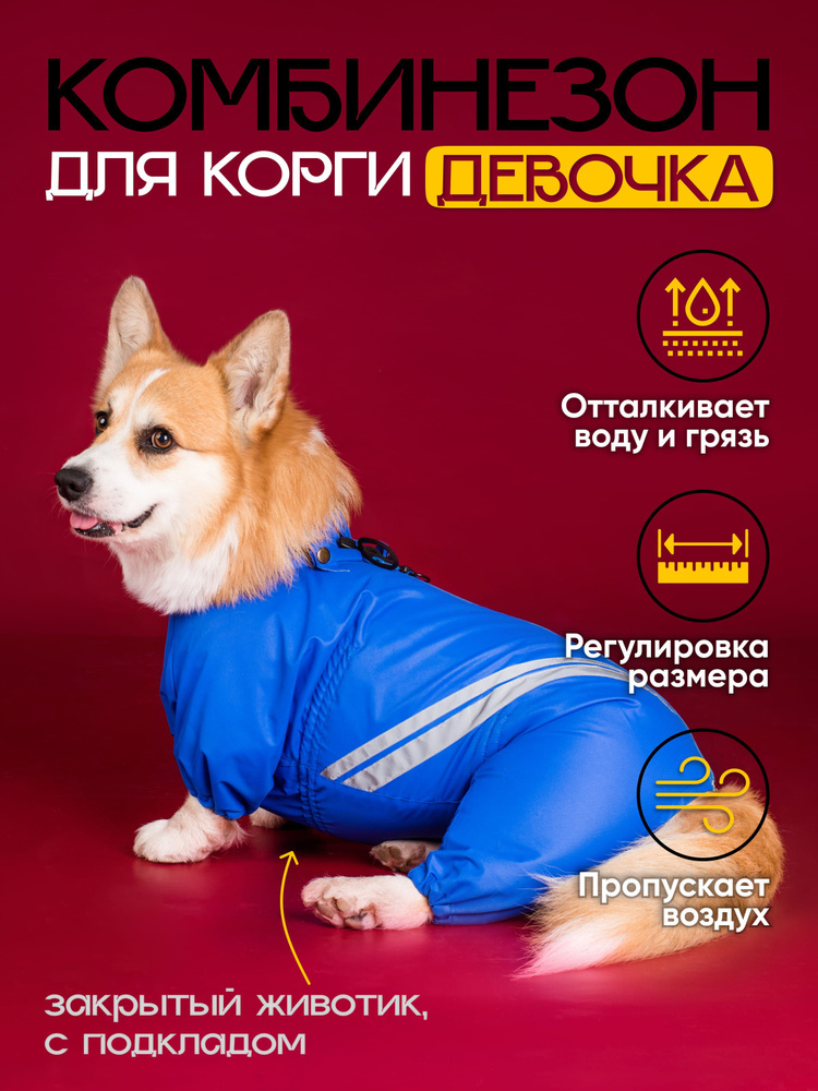 Грязезащитный комбинезон DiploDog для Корги (девочка), Одежда для Корги (девочка)  #1