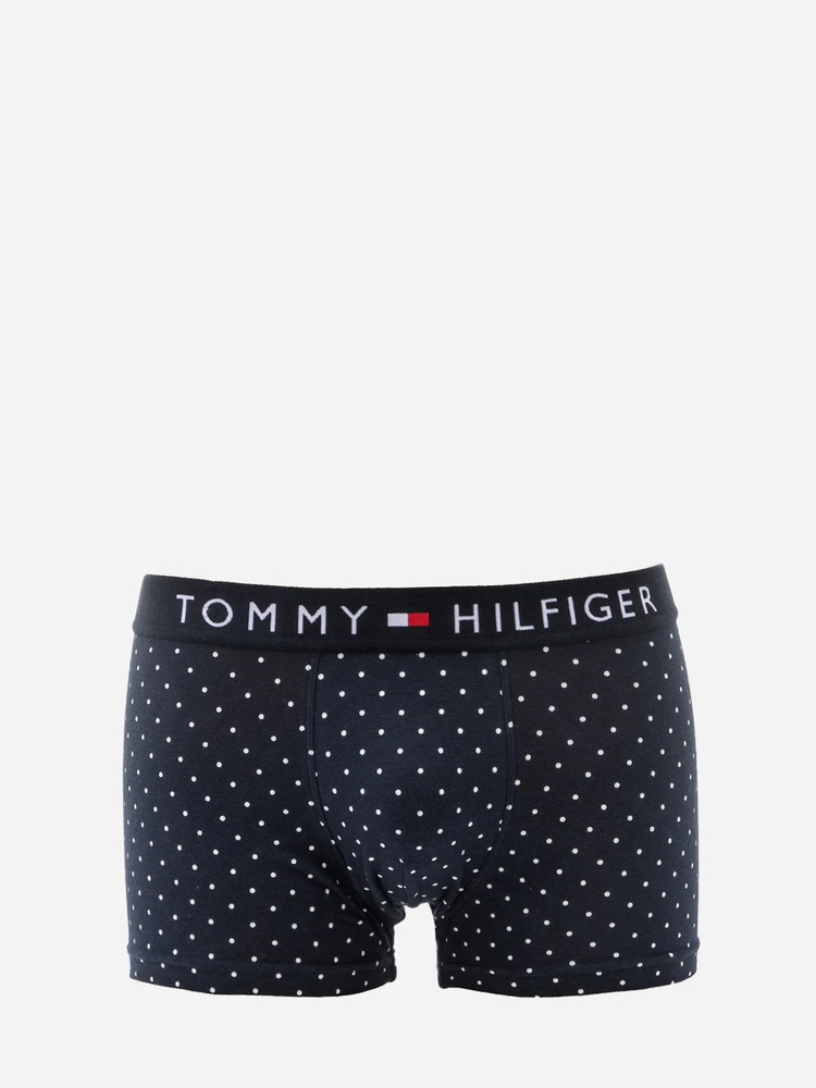 Трусы боксеры Tommy Hilfiger, 1 шт #1