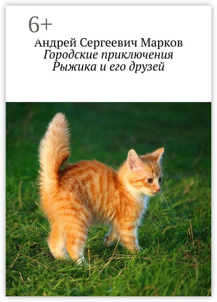 Городские приключения Рыжика и его друзей #1