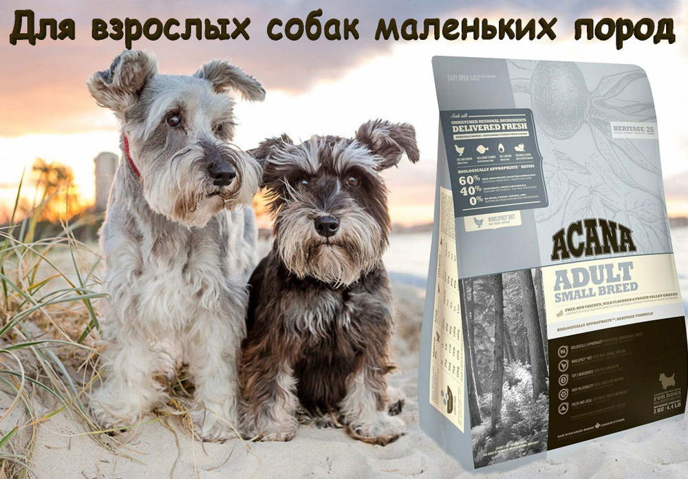 Acana dog adult best sale