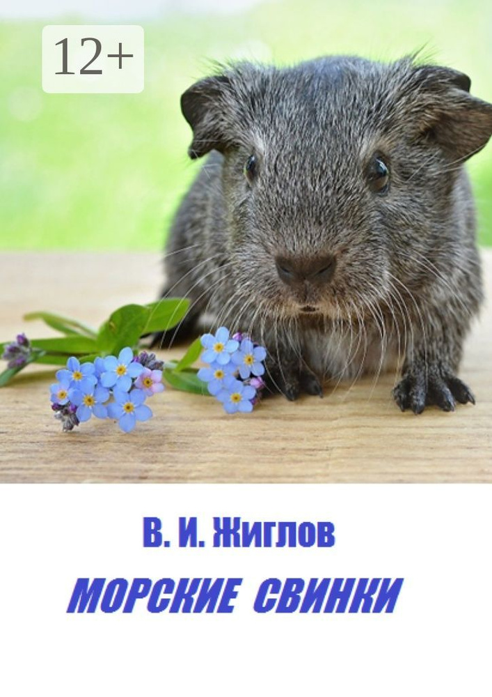 Морские свинки #1
