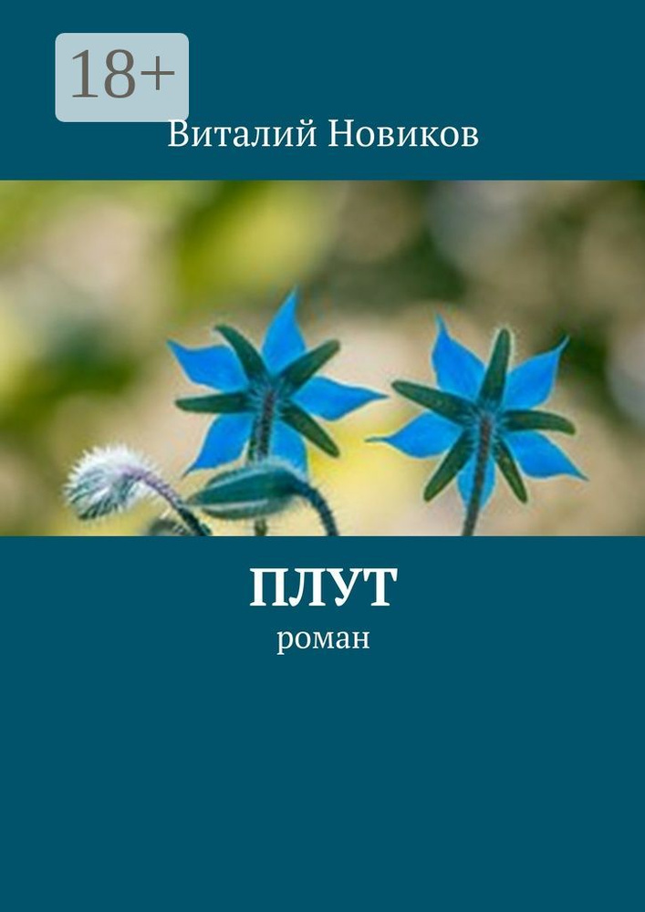 Плут. роман | Новиков Виталий #1