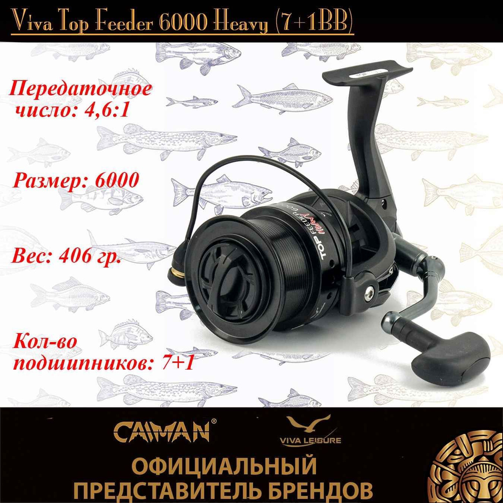 Катушка VIVA LEISURE Viva Top Feeder, Безынерционная, 6000, Передний  фрикцион купить по низкой цене с доставкой в интернет-магазине OZON  (1024308868)