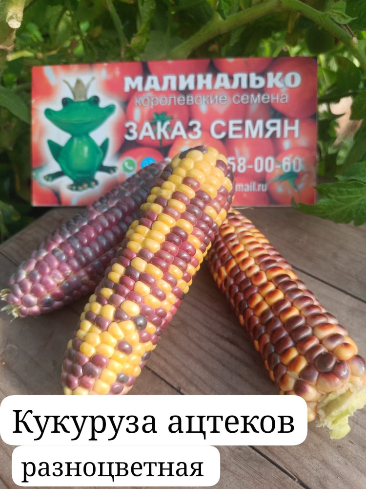 Семена #1
