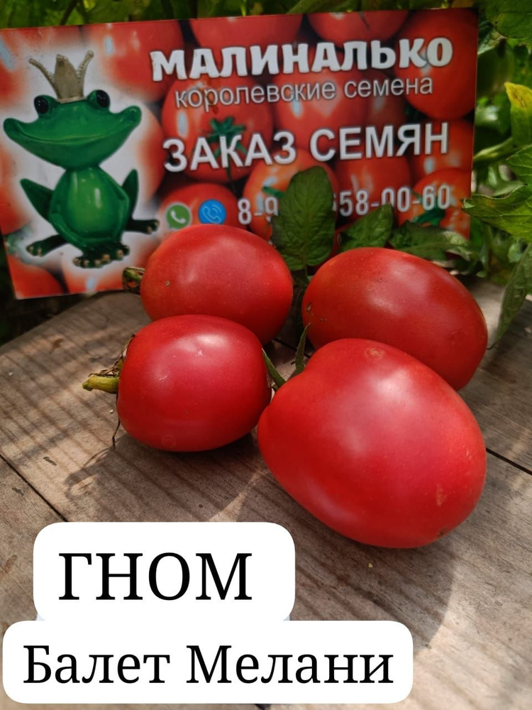Семена #1