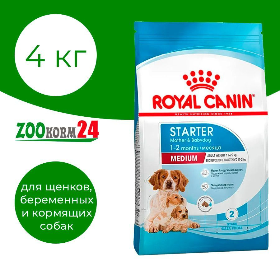 Royal canin starter store medium