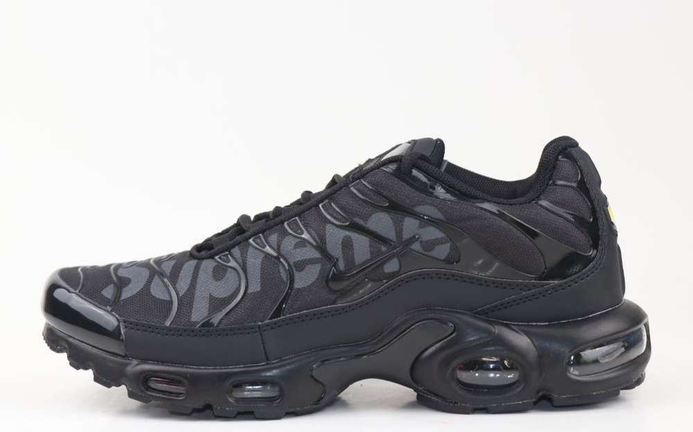 Кроссовки Nike AIR MAX PLUS #1
