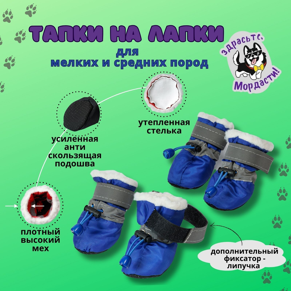 Сапоги для мелких пород собак размер S+. Угги для животных. Обувь для  собак, кошек и котов. - купить с доставкой по выгодным ценам в  интернет-магазине OZON (1237546163)