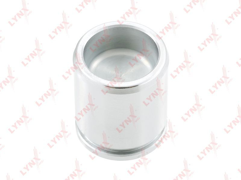 Поршень тормозного суппорта заднего (d38 мм, Aisin/Advics) для LEXUS ...