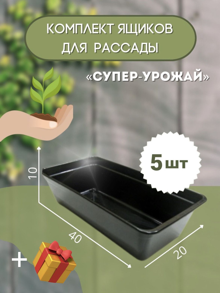 Ящики для рассады 5 штук купить по низкой цене в интернет-магазине OZON ...