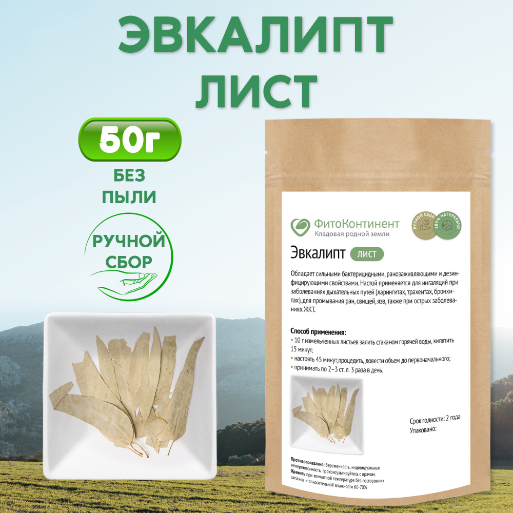 Эвкалипт листья, травяной сбор, 50 гр - купить с доставкой по выгодным  ценам в интернет-магазине OZON (590916880)