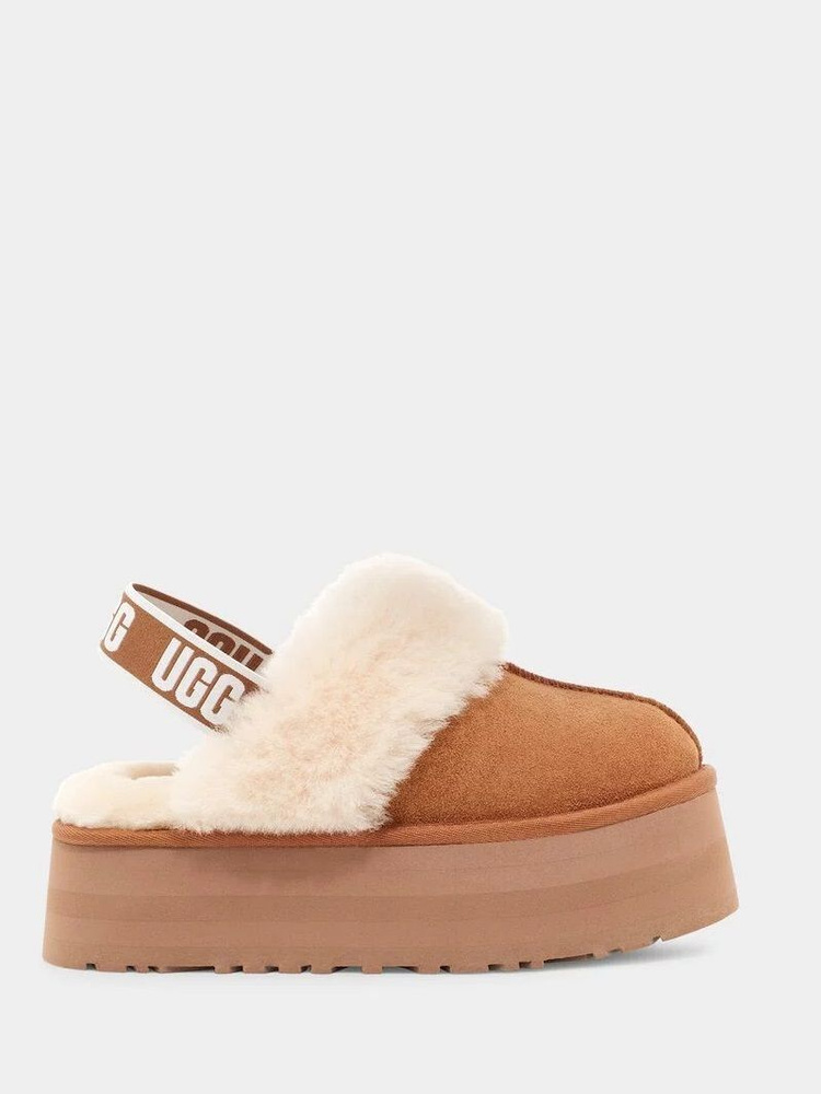 Тапочки UGG #1