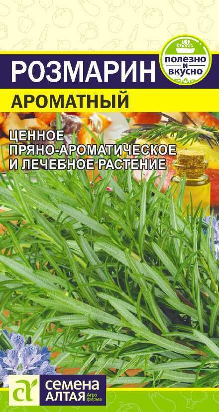 Розмарин "Ароматный" семена Алтая для балкона, подоконника и огорода, 0,03 гр  #1