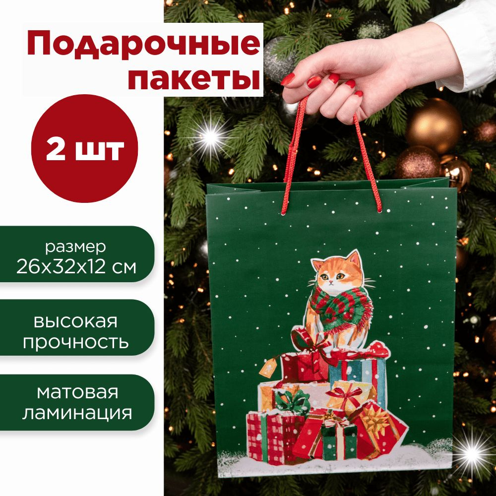 Пакеты подарочные средние новогодние "Салют", 26х32х12 см, набор 2 в 1 ...