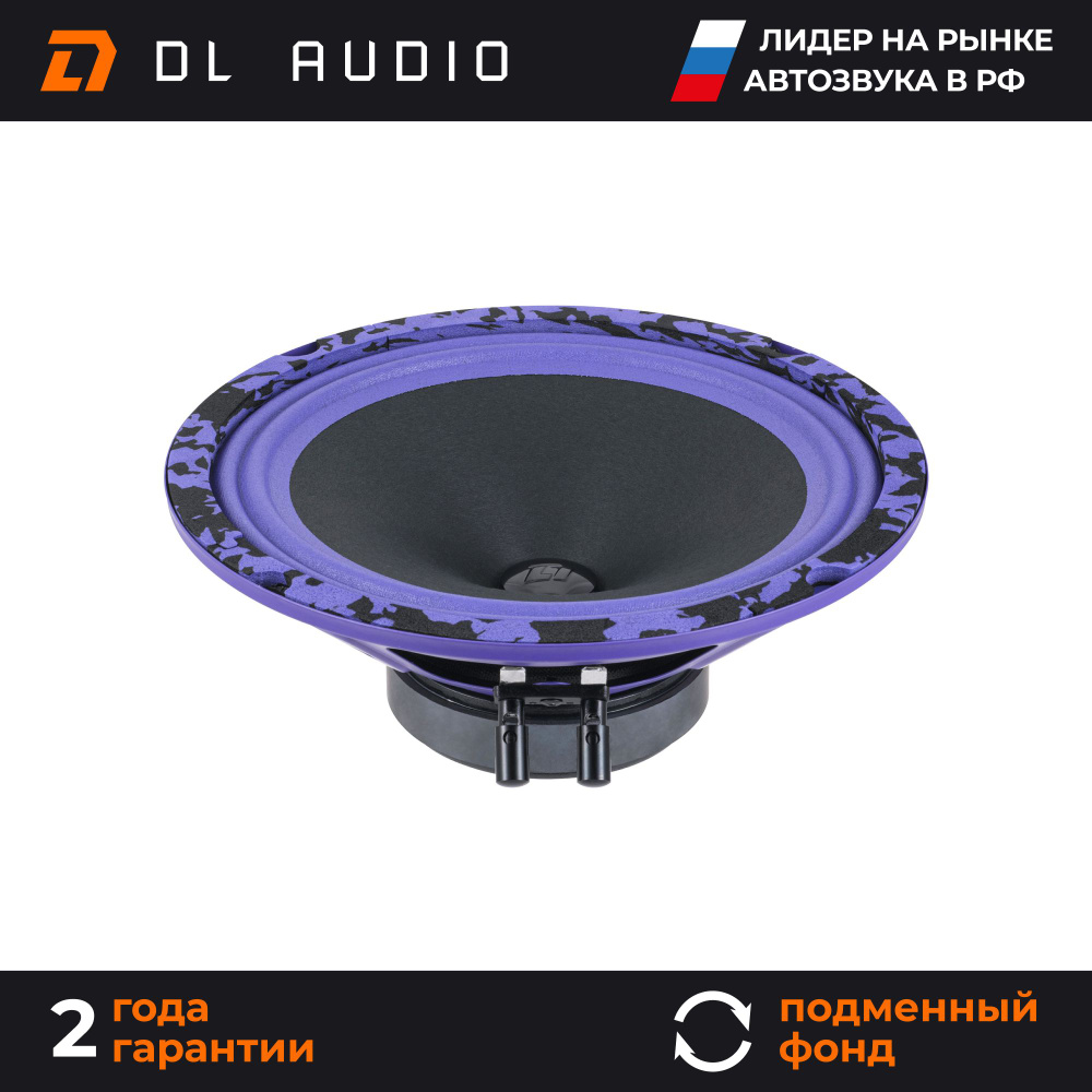 Колонки автомобильные 20 см DL Audio Piranha 200 V.2 пара - купить по  выгодной цене в интернет-магазине OZON, гарантия 2 (1323156761)