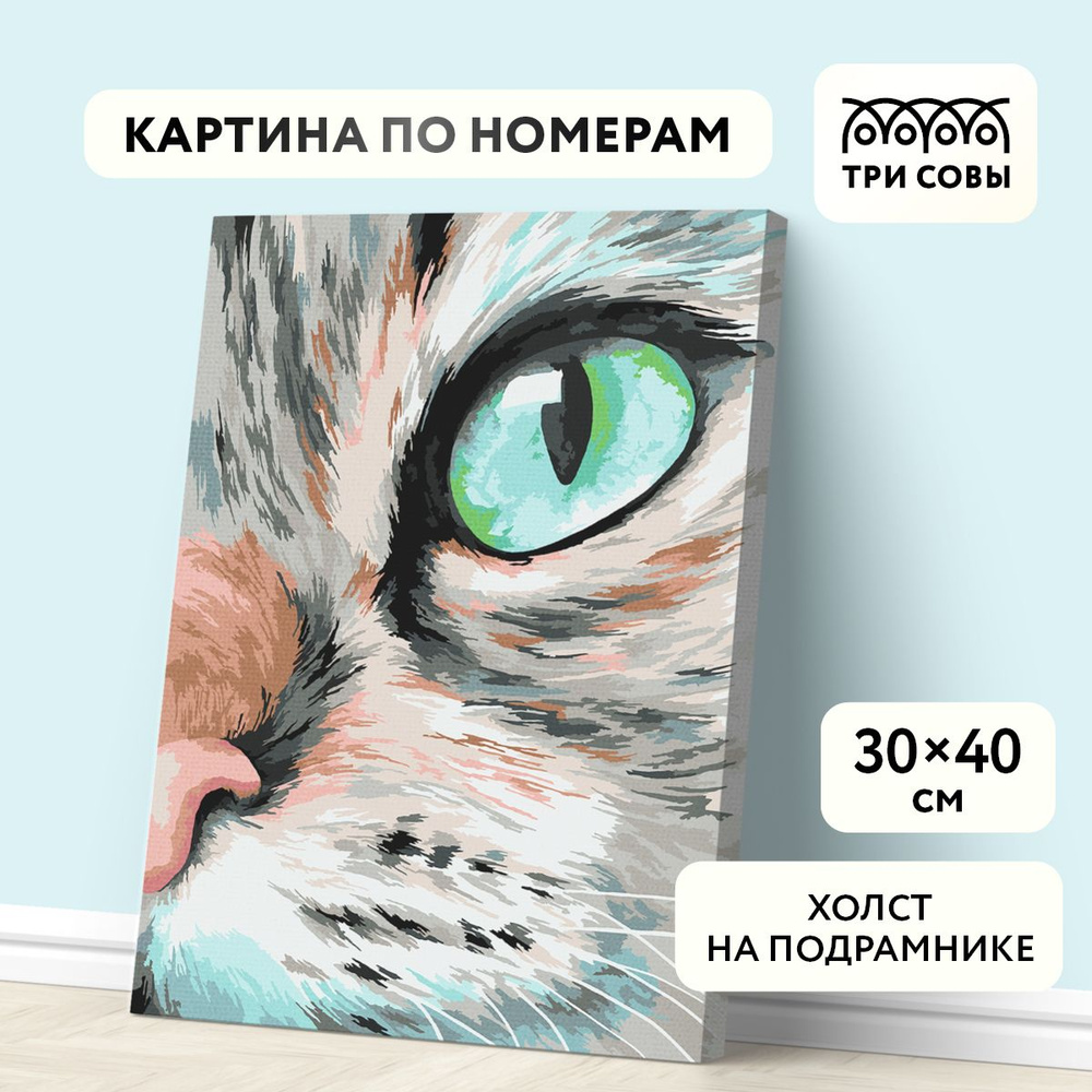 Картина по номерам на холсте на подрамнике 30х40 / ТРИ СОВЫ 