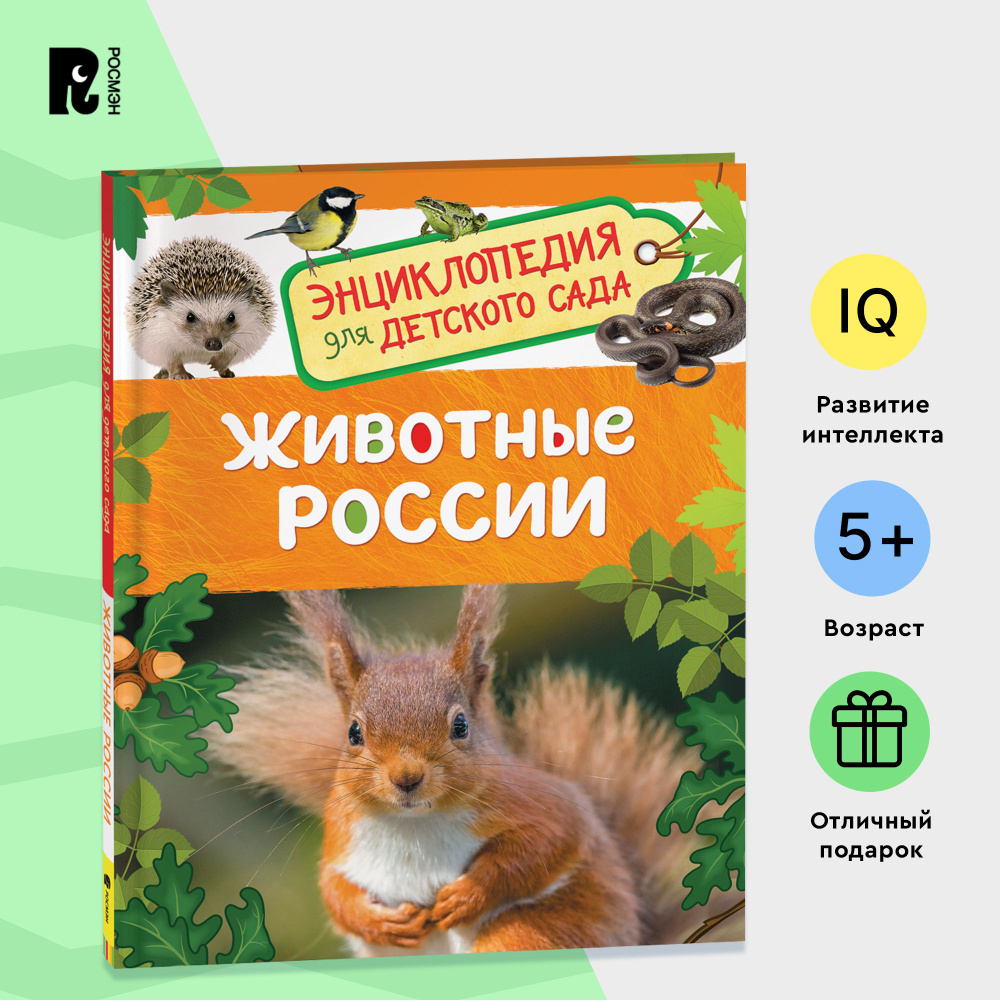 Животные России. Энциклопедия для детского сада. Познавательные факты ...