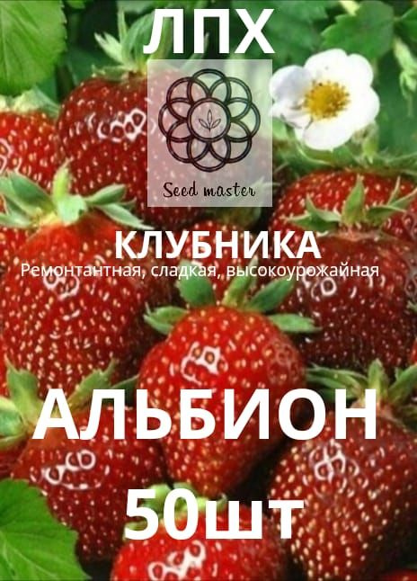 Семена ,50шт #1