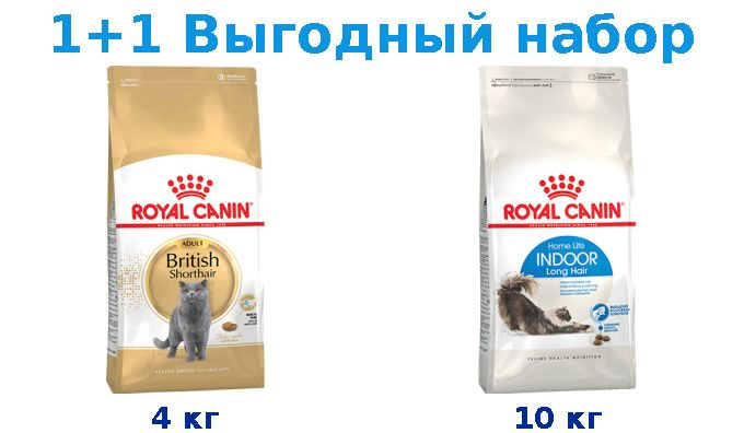 Сухой корм Взрослые, Royal Canin Breed cat British Shorthair 4 кг + Взрослые, Royal Canin Indoor Long #1