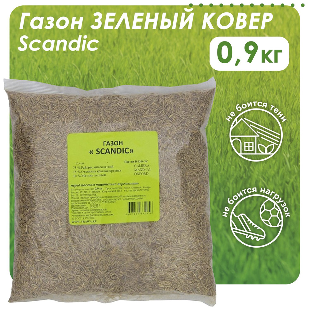 Семена газонных трав Зеленый ковер SCANDIC, 0,9 кг #1