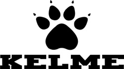 KELME - купить товары бренда Кельме по низким ценам в официальном ...