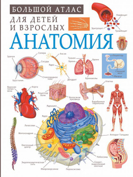 Книга атлас учебник Анатомия человека Воробьев В. П. 1том 1932 г.
