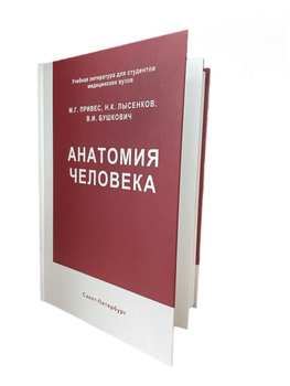 Привес Анатомия — Купить В Интернет-Магазине OZON По Выгодной Цене