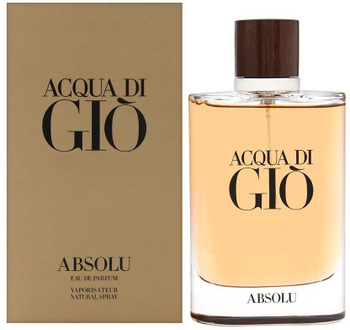 Acqua di hotsell gio absolu 100ml