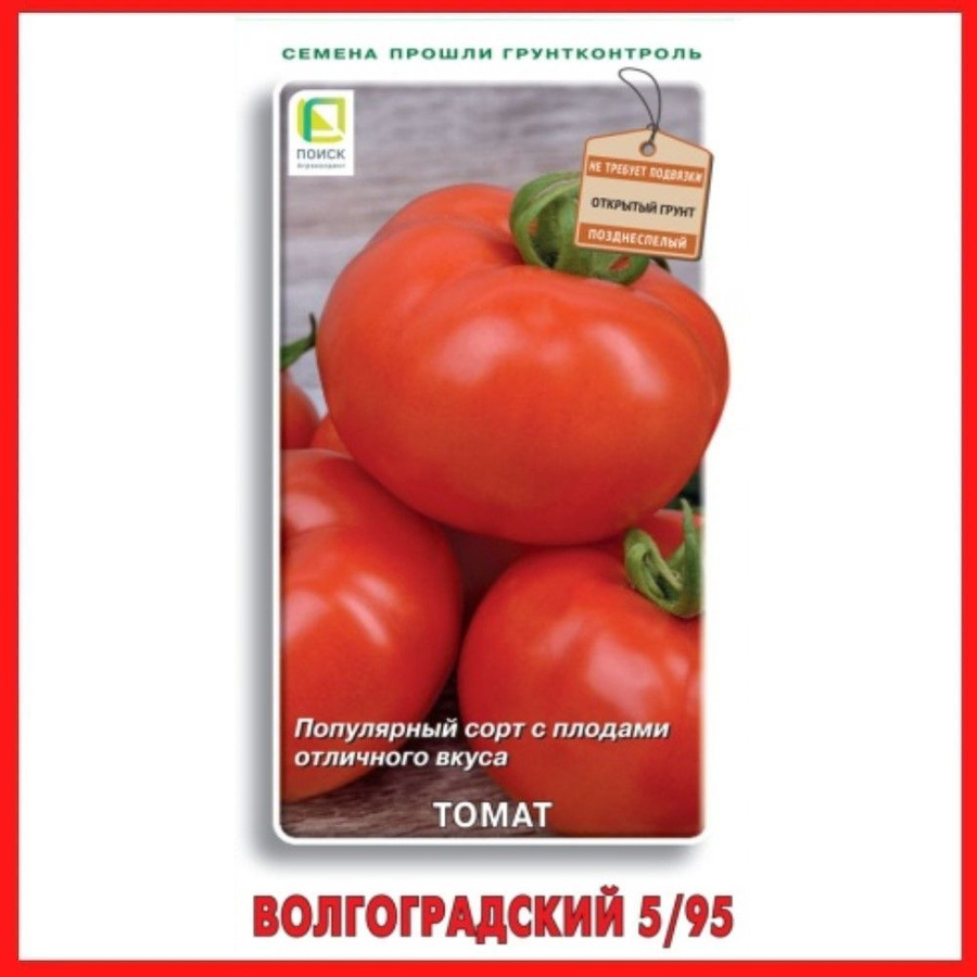 Помидоры волгоградские описание сорта фото отзывы садоводов Томат Волгоградский 5/95 купить на OZON по низкой цене