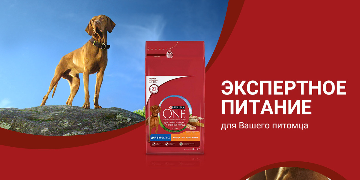 Purina One Dog