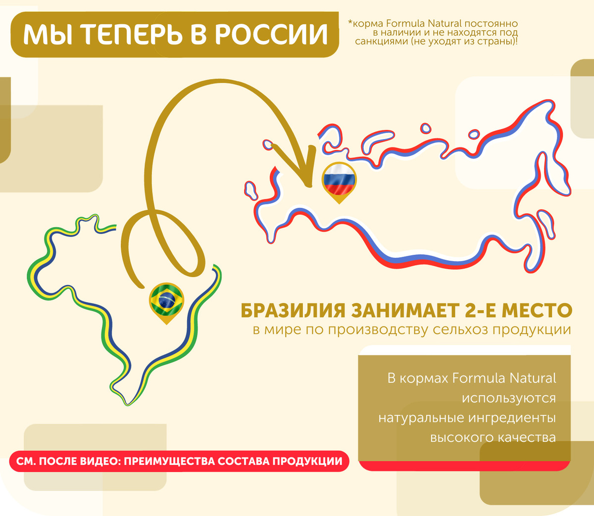 Текстовое описание изображения