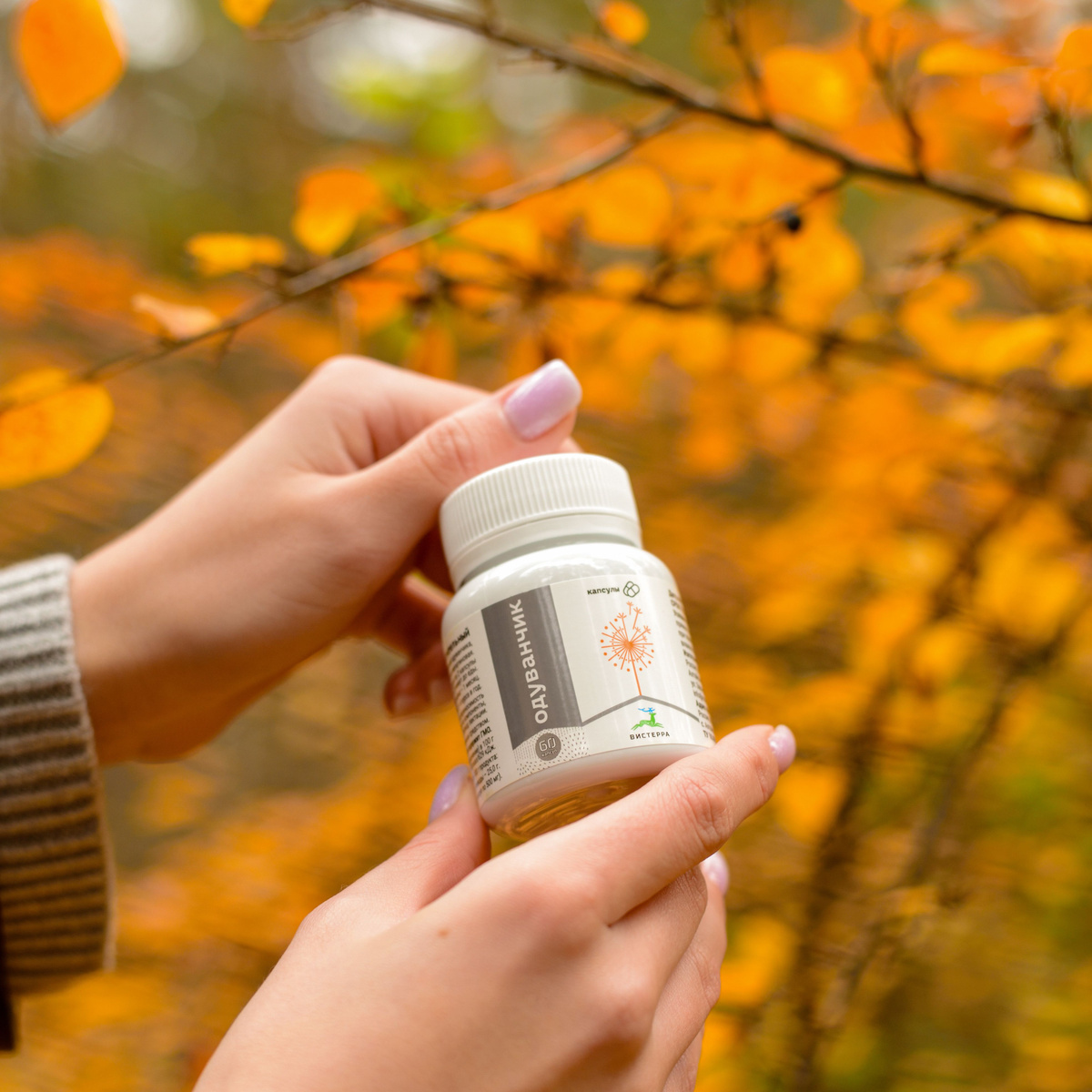 Корень одуванчика Алтайского Вистерра натуральный экстракт 2шт от ...