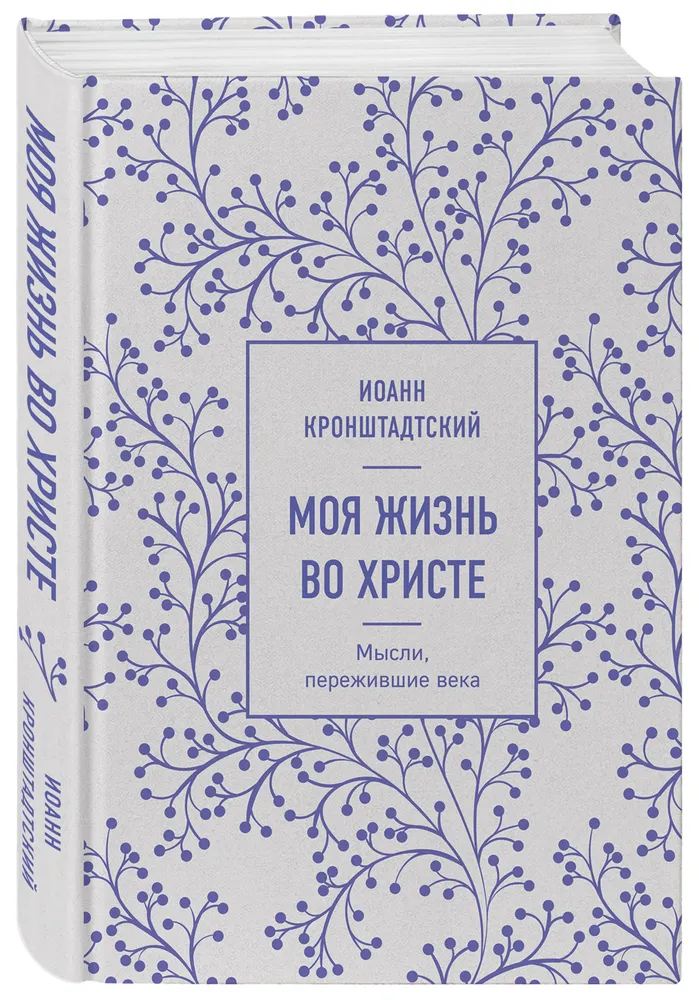 Моя жизнь во Христе. Мысли, пережившие века | Кронштадтский Иоанн, вариант, фото 6